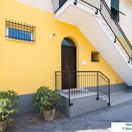Agriturismo Le Girandole Diano Marina Eksteriør billede